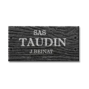 Logo taudin